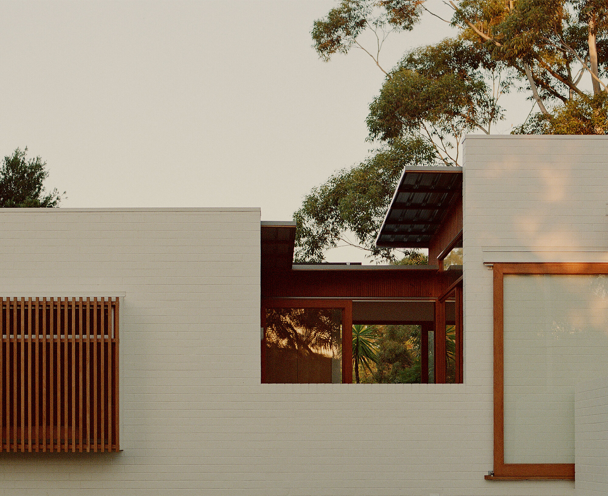Interior photograph of Lane Cove House by Saskia Wilson
