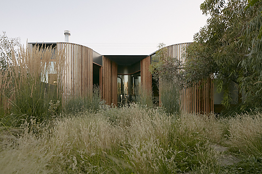 Interior photograph of Vivarium by Tom Ross