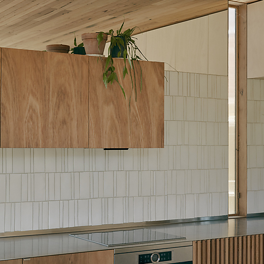 Interior photograph of Vivarium by Tom Ross