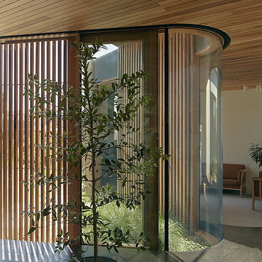 Interior photograph of Vivarium by Tom Ross
