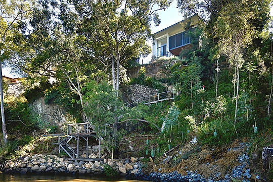Interior photograph of Riverbank House by Alex Chomicz